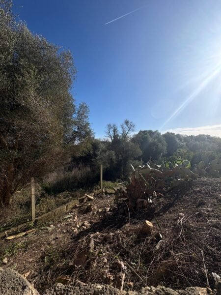 Solar urbano edificable en Sant Llorenç