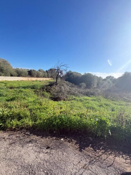 Solar urbano edificable en Sant Llorenç